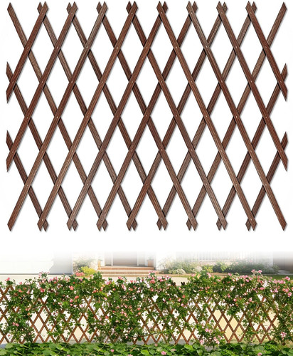 Expandable wooden lattice - wooden,