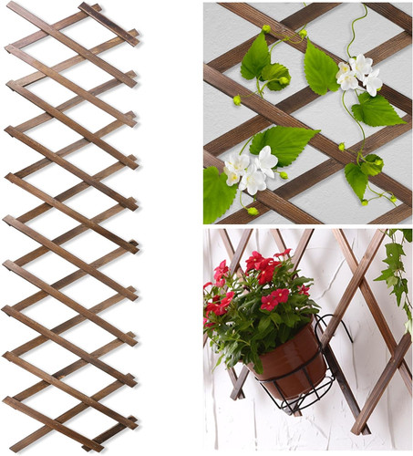 Wood lattice fence - wood,