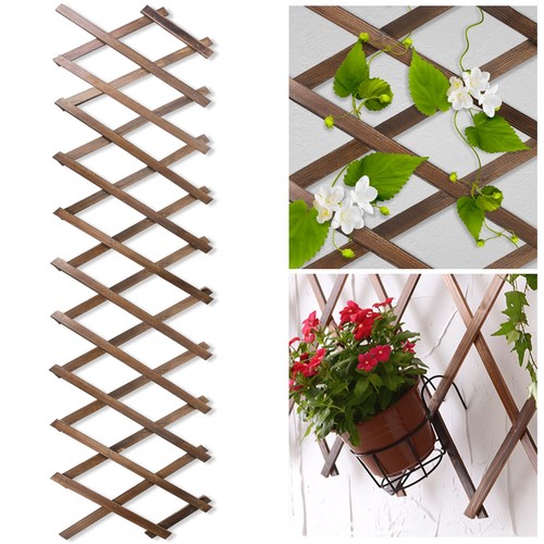 Wood lattice fence - wood, for